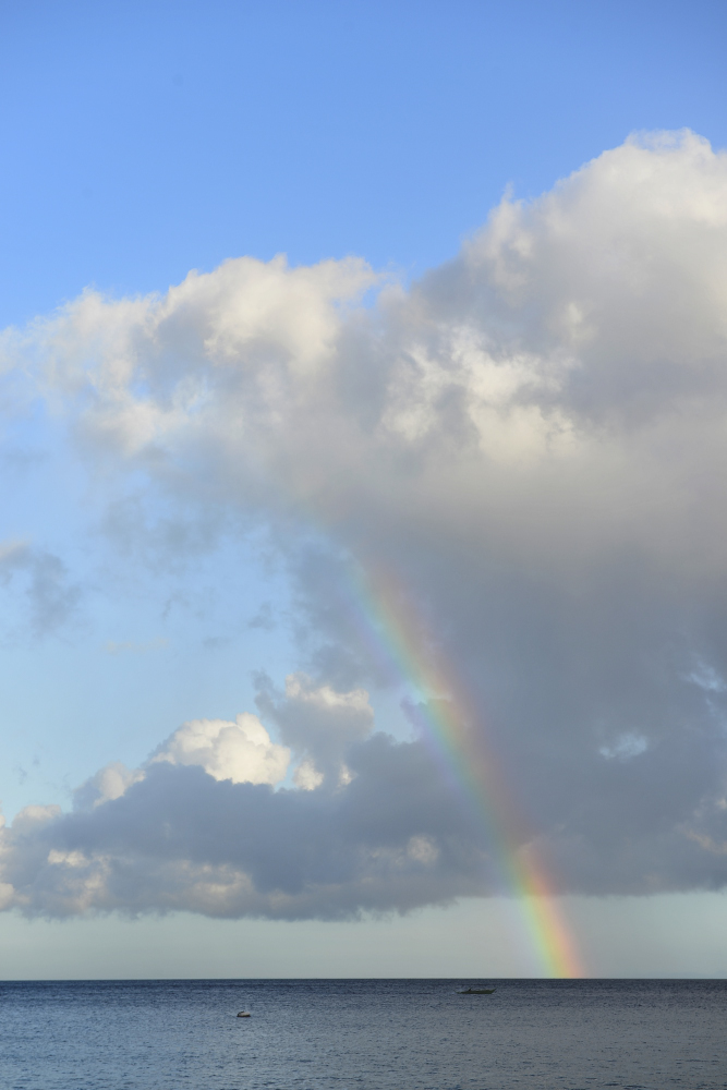 _DSC1126.JPG Somewhere under the rainbow...