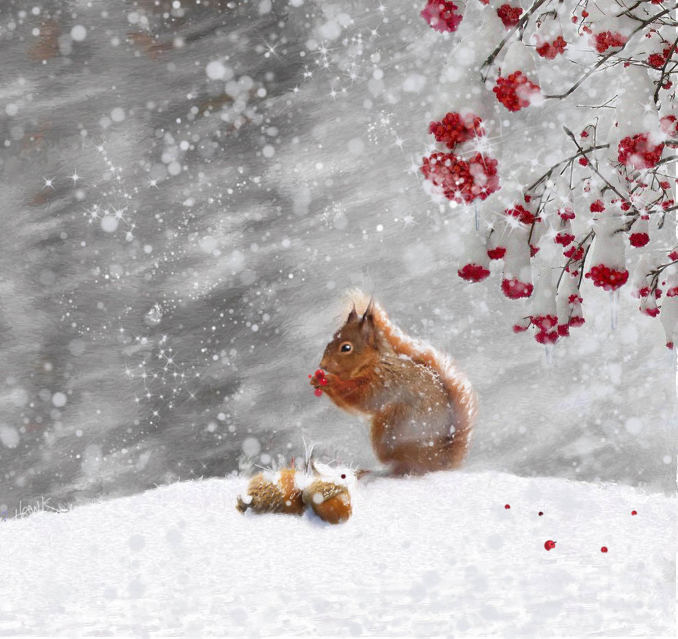 Winter Feast