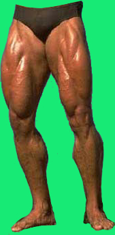 legs male S.jpg