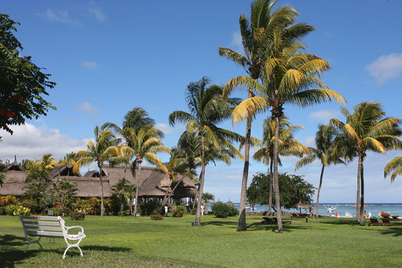 Mauritius - Palm Trees & Chair