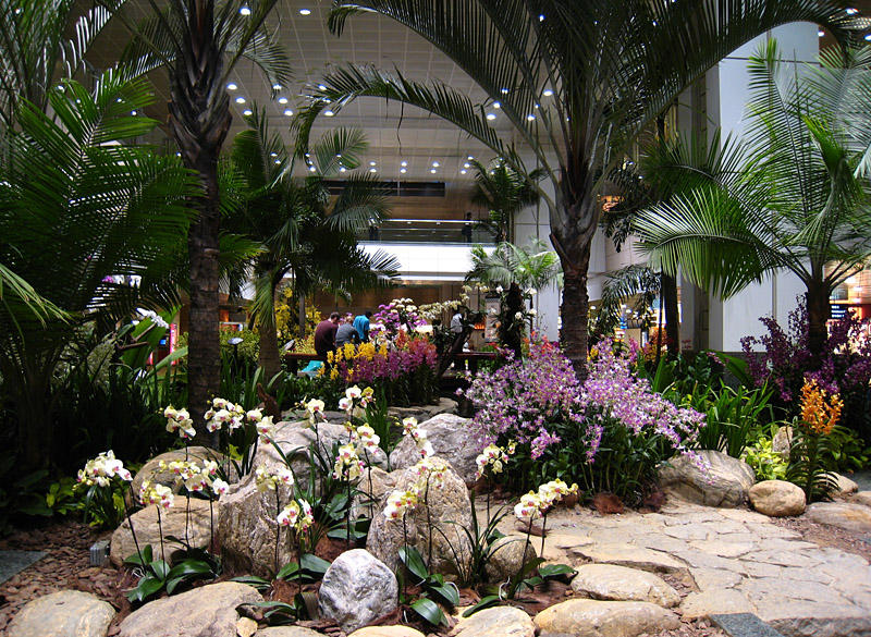 Singapore - Airport Orchid Garden