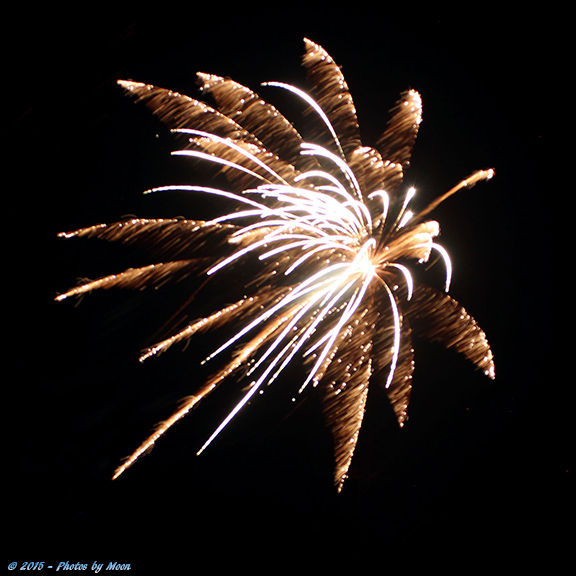 Bastrop Fireworks 15 - 7145.jpg