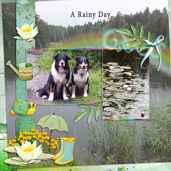 A Rainy Day