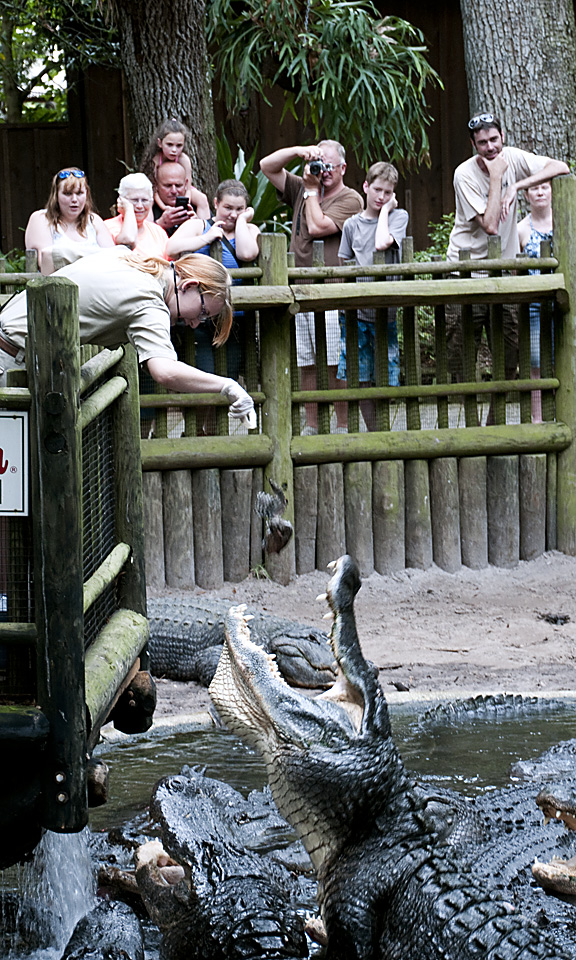 Stephanie Feeding Them Gators