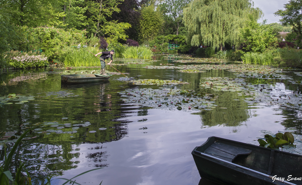 the water gardener