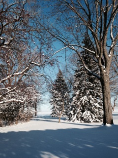 Snow in Wisconsin CGH.jpg