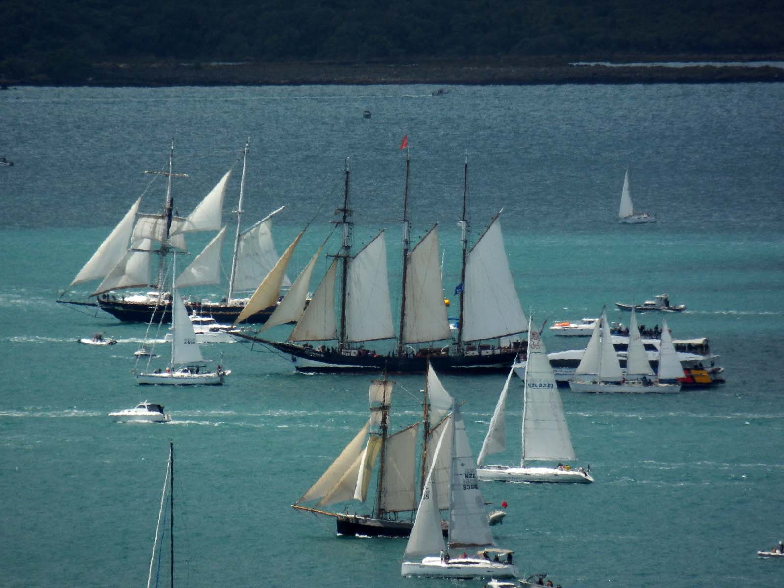 OOSTERSCHELDE and Locals
