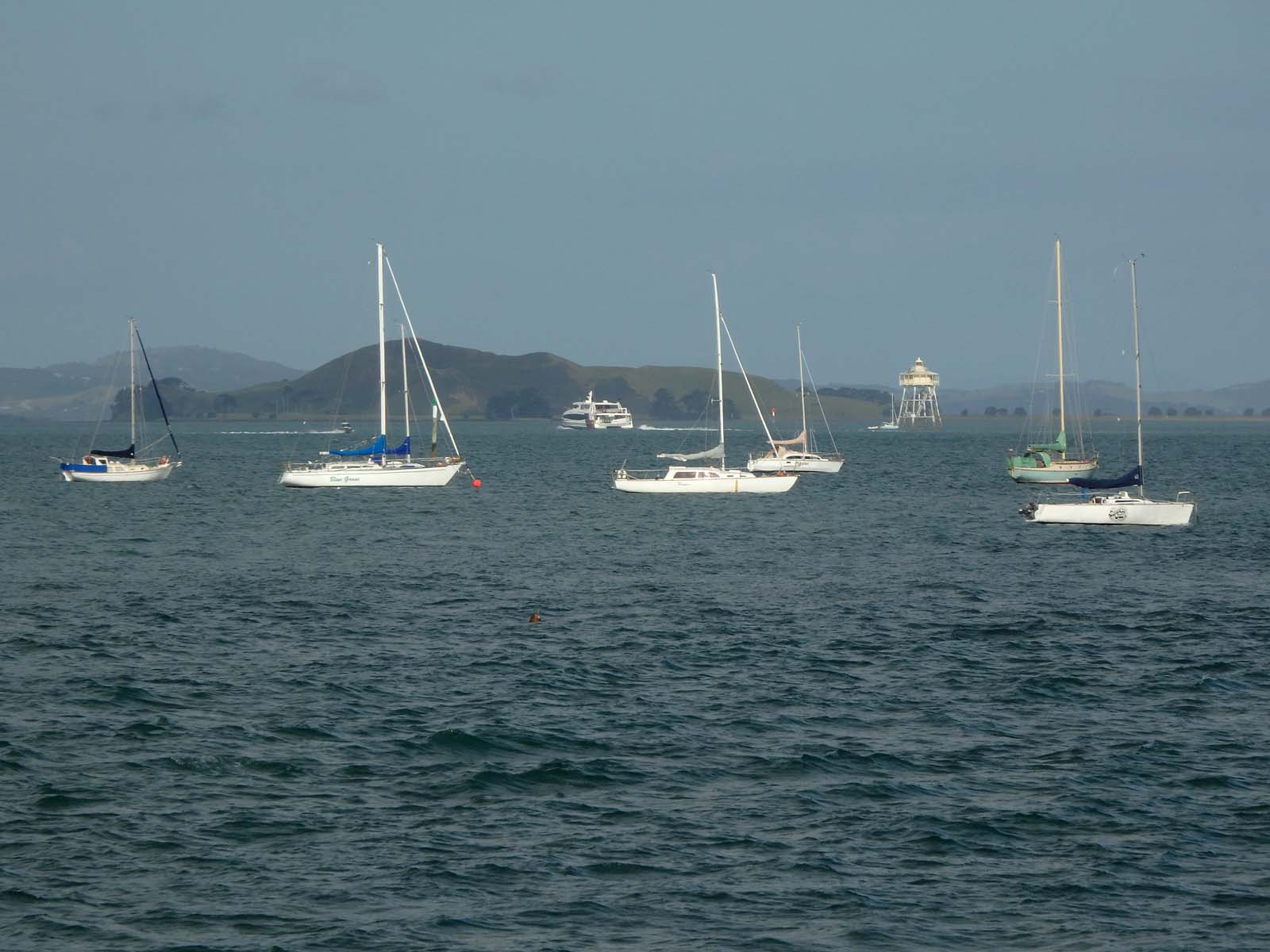Moored Yachts