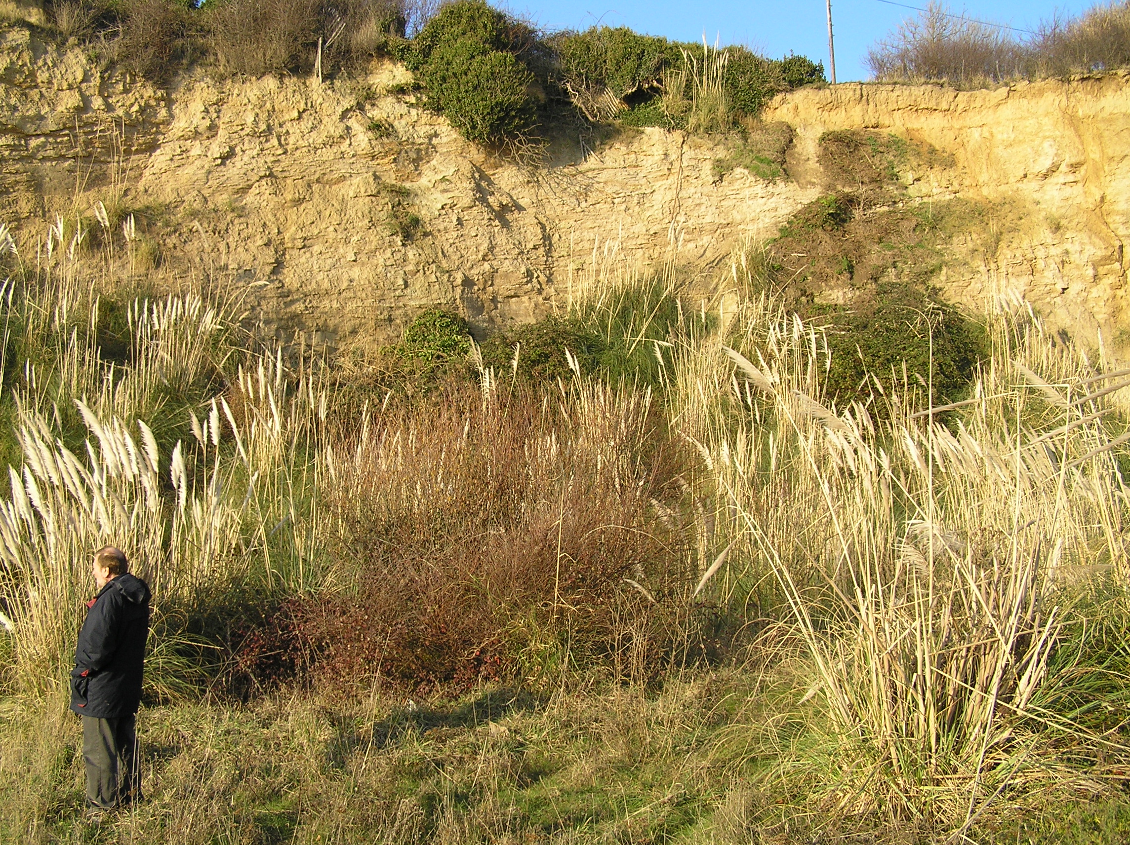 PC275039.JPG