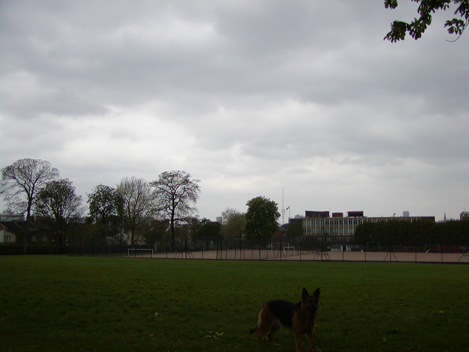 19_04_03_04.JPG