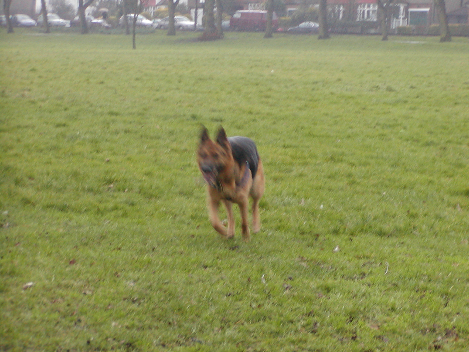 Park_01_03_03_02.JPG