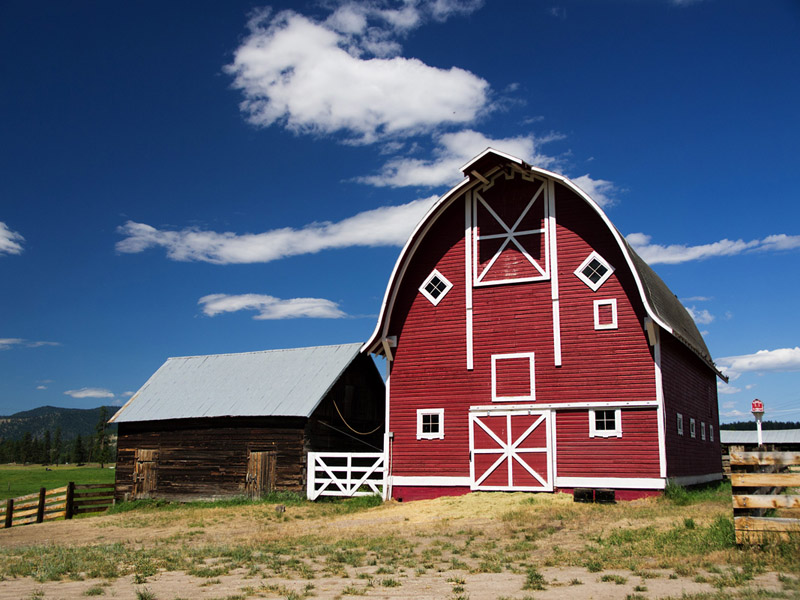 The Scheffer Farm Barns-Shirley 
