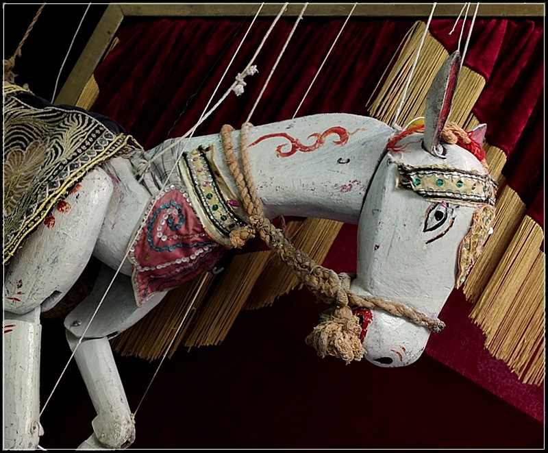 Chinese Horse Puppet - Zin
