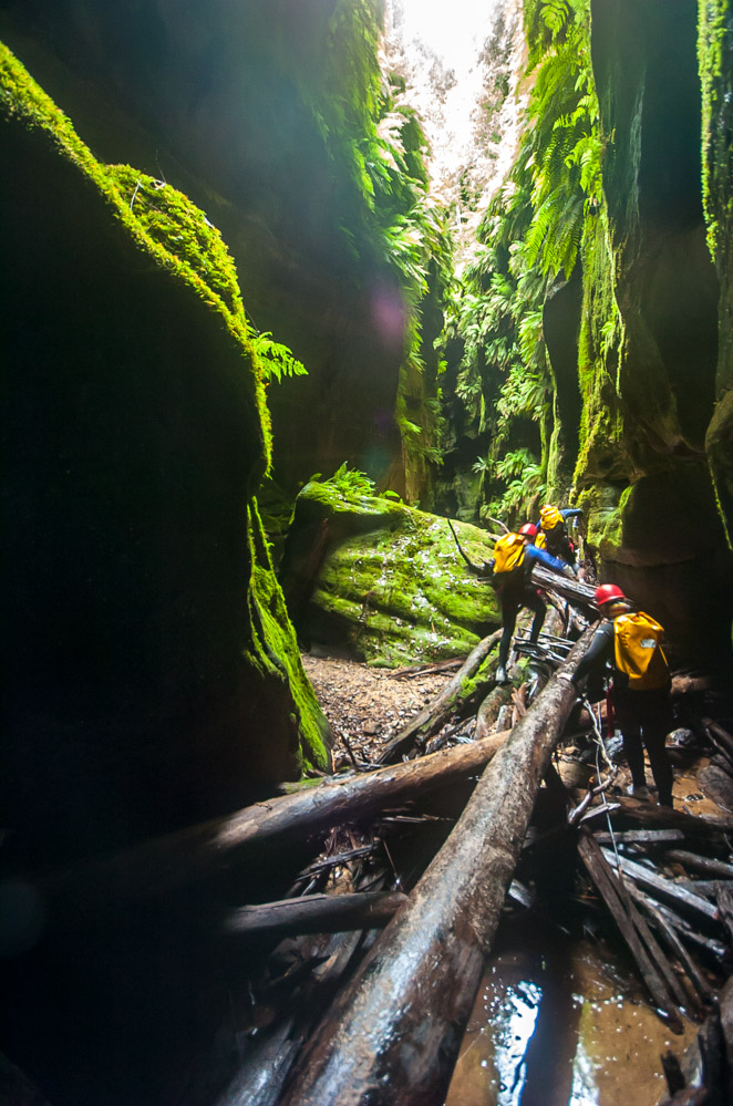 Claustral Canyon