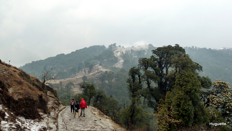 Inde 2013-3 045.JPG