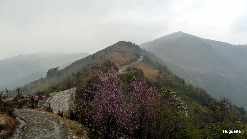 Inde 2013-3 049.JPG