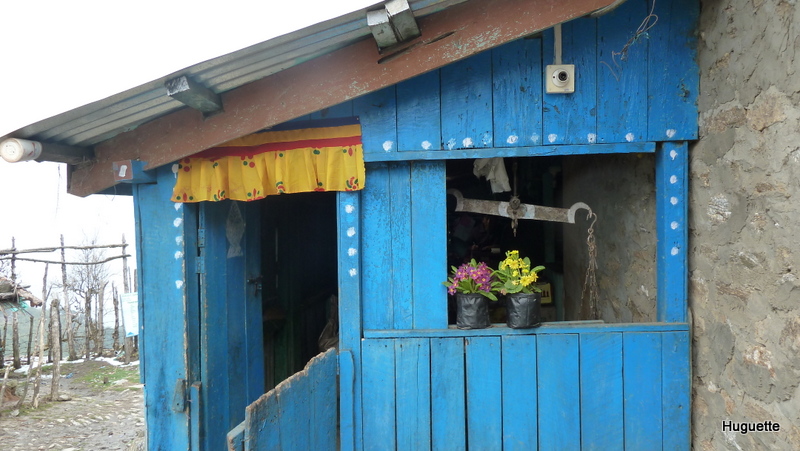 Inde 2013-3 062.JPG