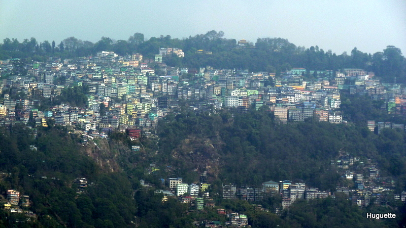 Inde 2013-3 176.JPG