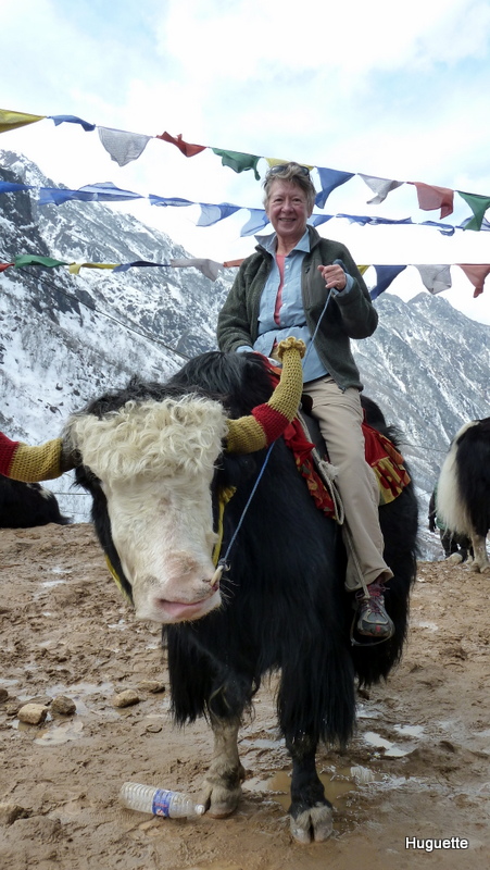 Inde 2013-3 224.JPG