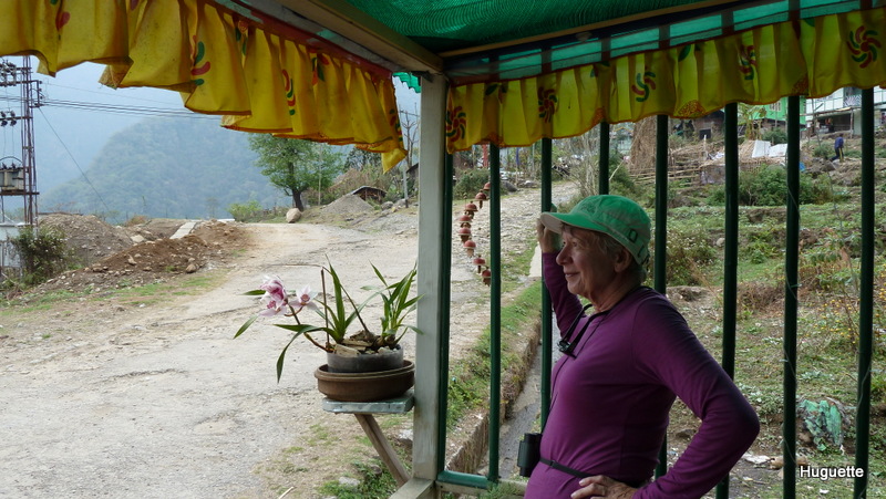Inde 2013-3 462.JPG