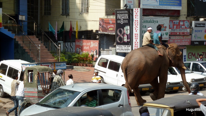 Inde 2013-3 521.JPG