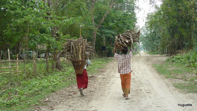 Inde 2013-3 536.JPG