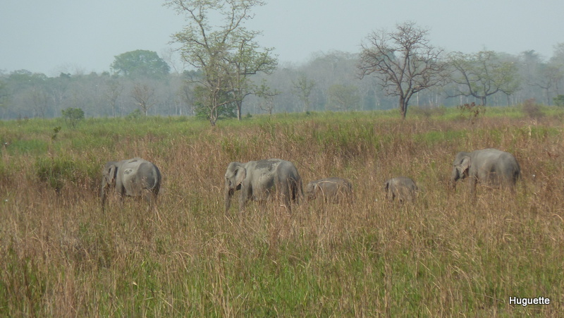 Inde 2013-3 562.JPG