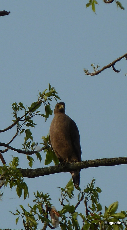 Inde 2013-3 570.JPG