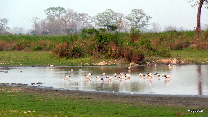 Inde 2013-3 615.JPG