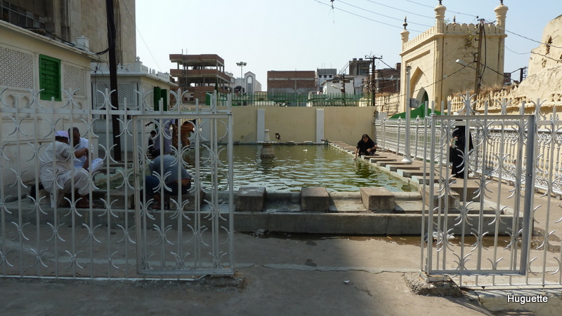 Andhra Pradesh P1030146.JPG
