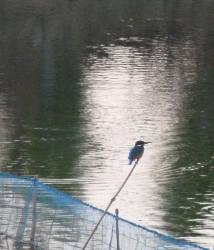 P1030486.JPG