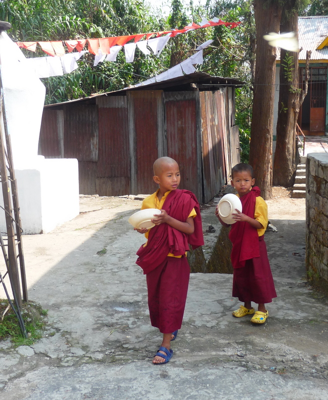 P1140677.JPG