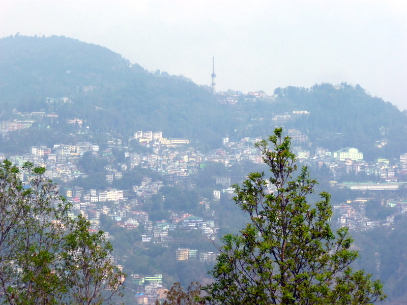 P1140696.JPG