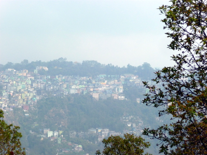 P1140698.JPG