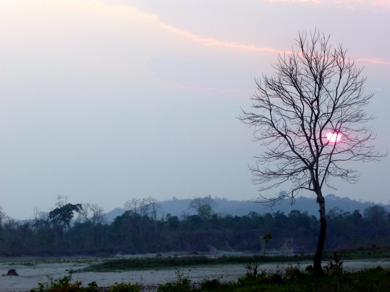 P1150310.JPG