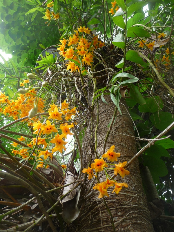 P1150316.JPG