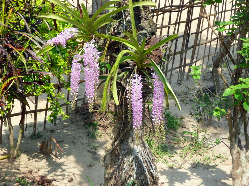 P1150416.JPG