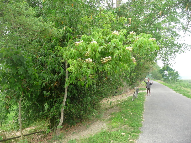 P1150495.JPG