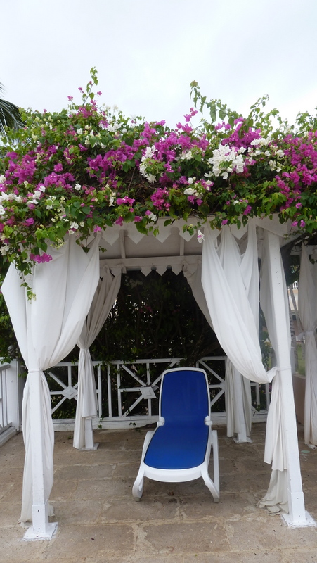 Htel Melia Cayo Guillermo