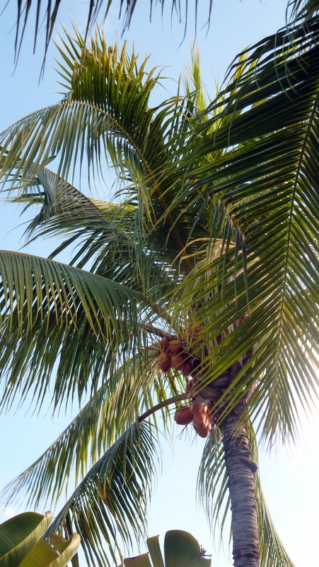P1050455.JPG