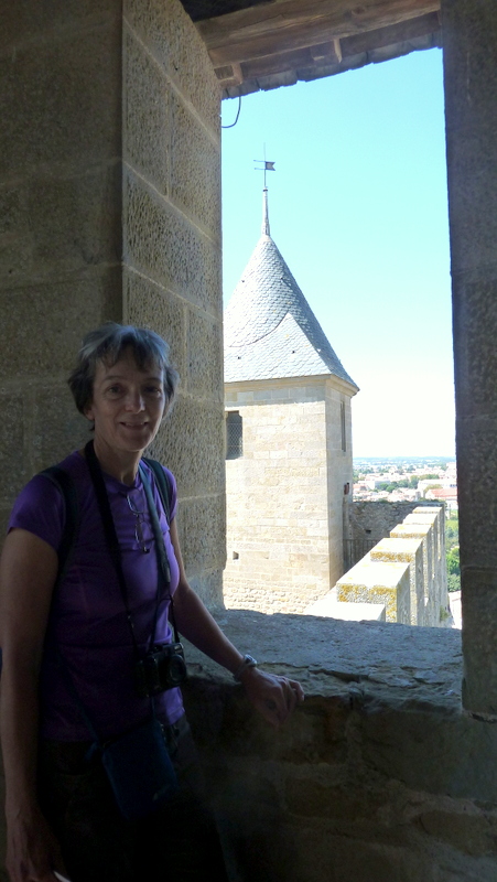 Carcassonne            P1050799.JPG