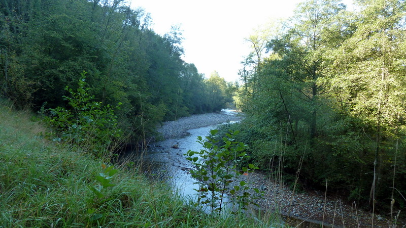 P1060704.JPG