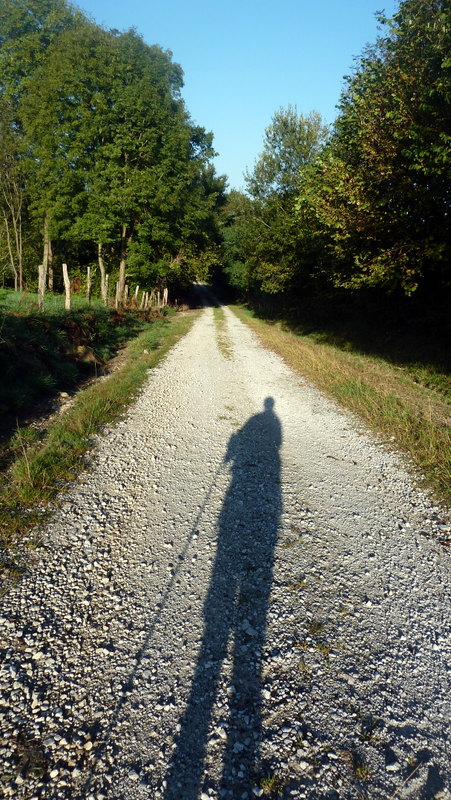 P1060737.JPG