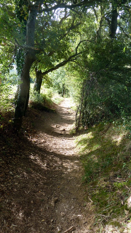 Chemin de randonne
