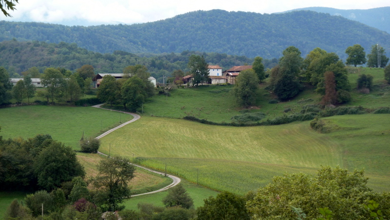 P1060183.JPG