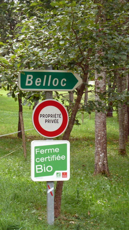 P1060190.JPG