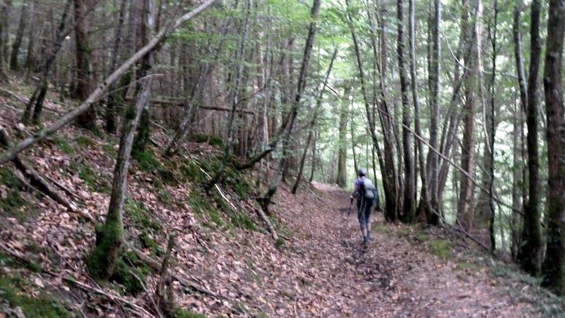 P1060285.JPG