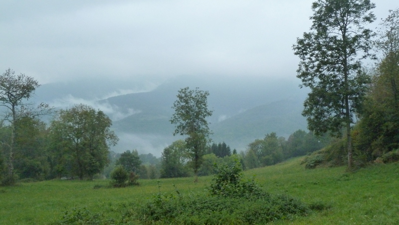 P1060303.JPG