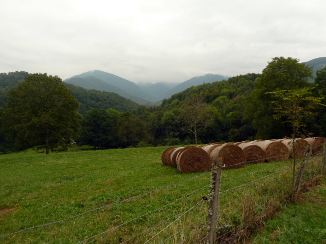 P1060323.JPG