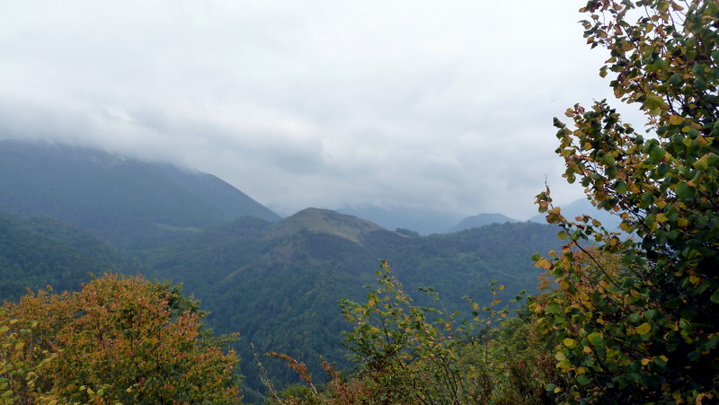 P1060339.JPG